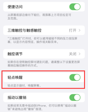 郴州苹果授权维修站分享iPhone轻点无法唤醒怎么办 