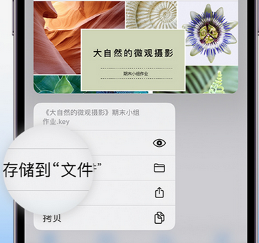 郴州apple维修中心分享iPhone文件应用中存储和找到下载文件