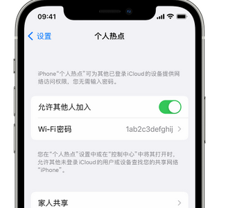 郴州apple服务站点分享iPhone上个人热点丢失了怎么办