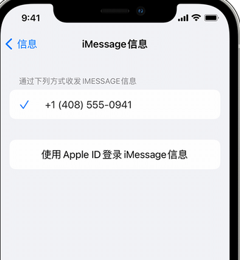 郴州apple维修iPhone上无法正常发送iMessage信息 