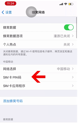 郴州苹果14维修网分享如何给iPhone14的SIM卡设置密码 