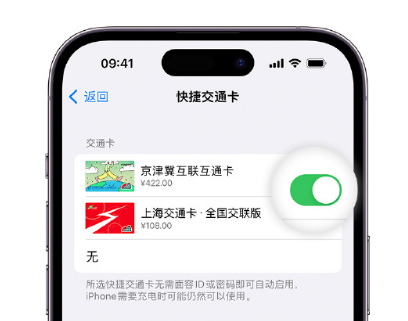 郴州apple维修点分享iPhone上更换Apple Pay快捷交通卡手绘卡面 