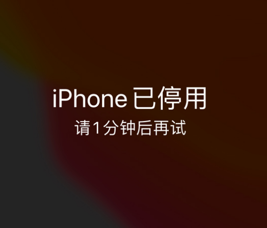 郴州苹果手机维修分享:iPhone 显示“不可用”或“已停用”怎么办？还能保留数据吗？ 