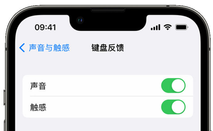 郴州苹果手机维修分享iPhone 14触感键盘使用方法 