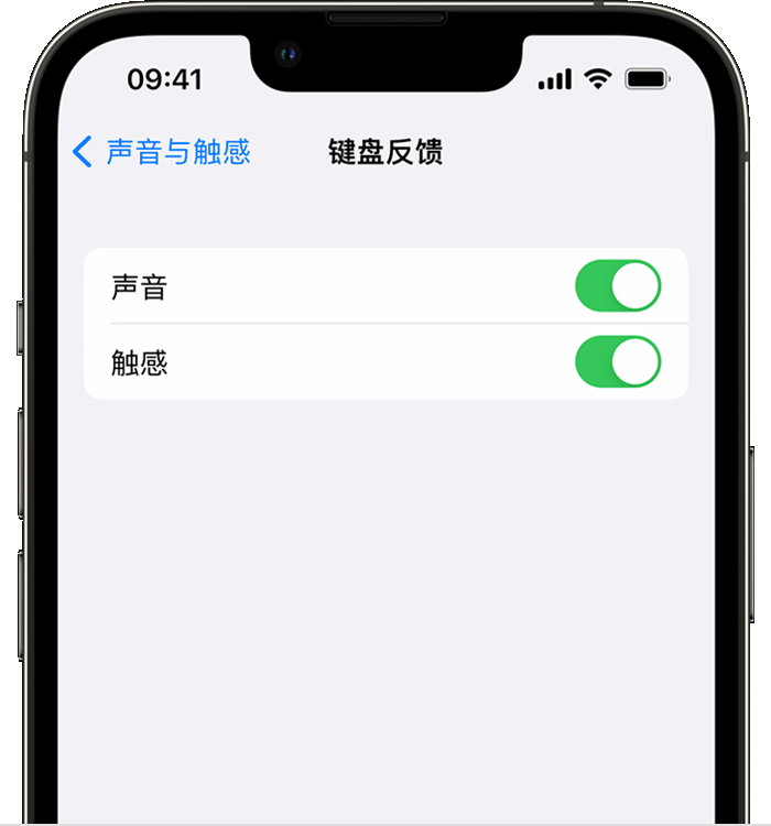 郴州苹果14维修店分享如何在 iPhone 14 机型中使用触感键盘 