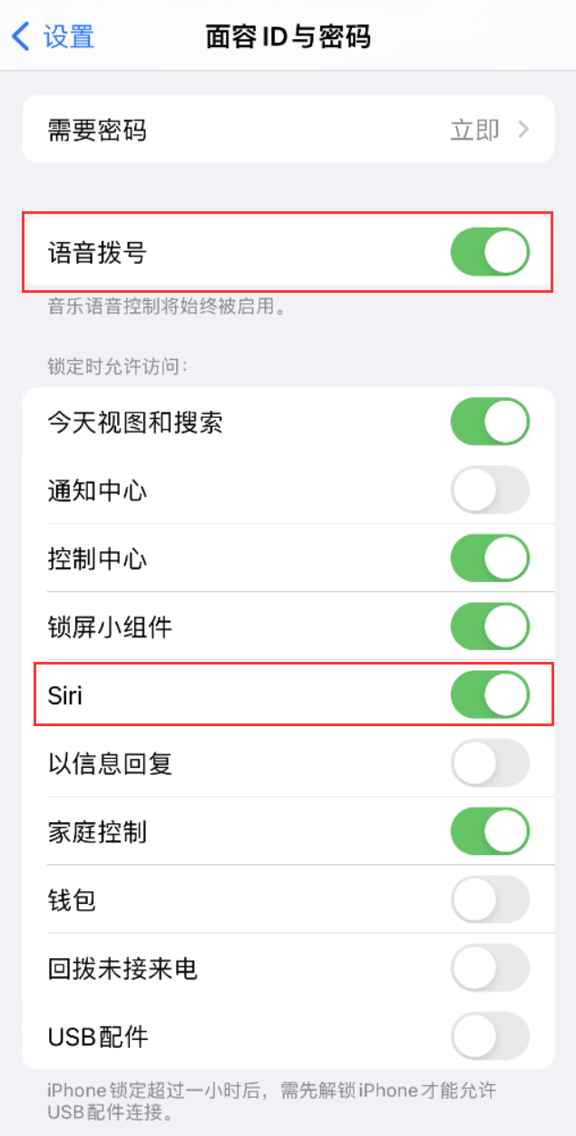 郴州苹果维修网点分享不解锁 iPhone 的情况下通过 Siri 拨打电话的方法 