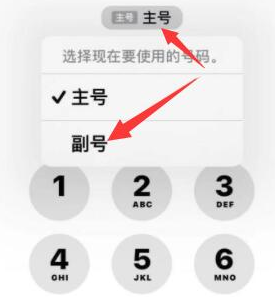 郴州苹果14维修店分享iPhone 14 Pro Max使用副卡打电话的方法 