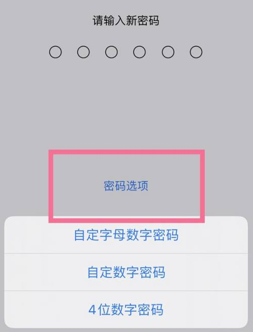 郴州苹果14维修分享iPhone 14plus设置密码的方法 