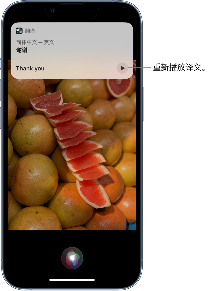 郴州苹果14维修分享 iPhone 14 机型中使用 Siri：了解 Siri 能帮你做什么 