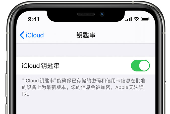 郴州苹果手机维修分享在 iPhone 上开启 iCloud 钥匙串之后会储存哪些信息 