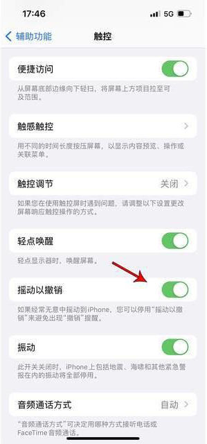 郴州苹果手机维修分享iPhone手机如何设置摇一摇删除文字 