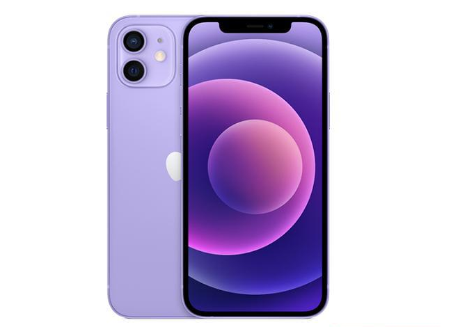 郴州苹果手机维修分享现阶段要不要入手紫色版iPhone12 